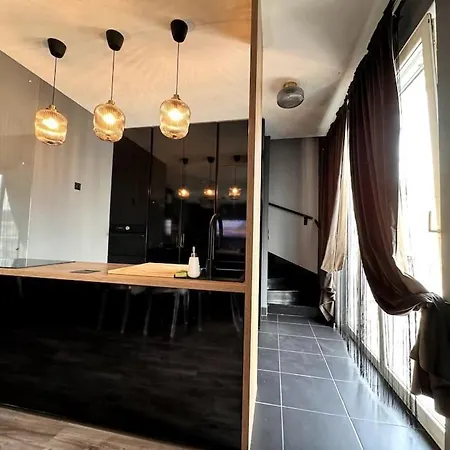 公寓 Ultra Premium Duplex 布达佩斯